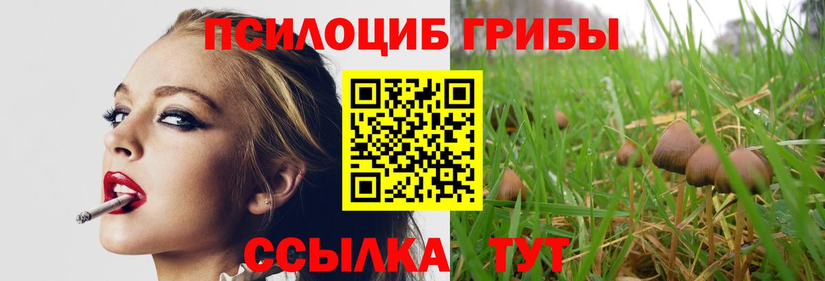 Псилоцибиновые грибы прущие грибы  Вход с VPN  Дмитров 